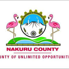 County Governments